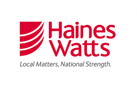 Haines Watts logo